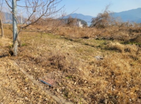 물건 사진 34