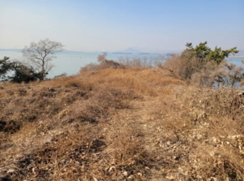 물건 사진 38