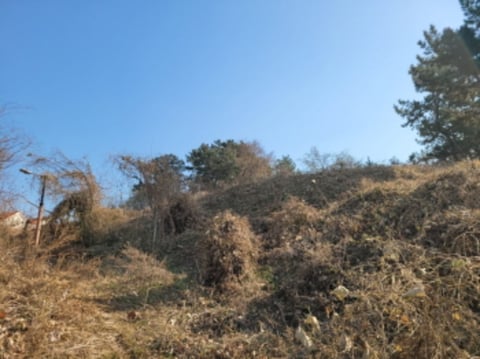 물건 사진 39