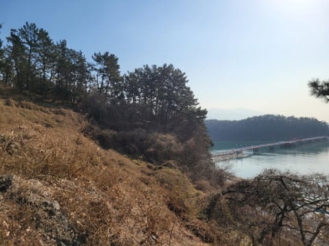 물건 사진 40