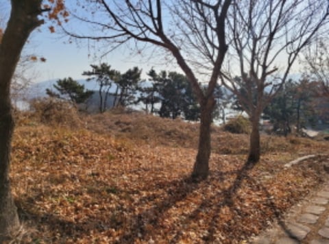 물건 사진 5