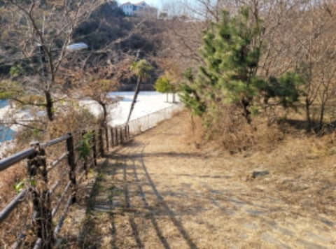 물건 사진 44