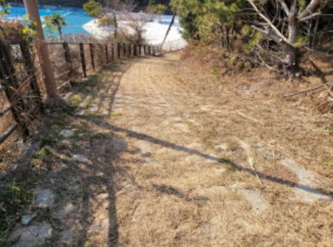 물건 사진 45