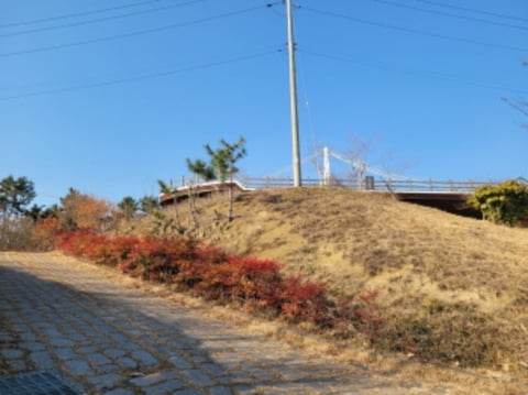 물건 사진 46
