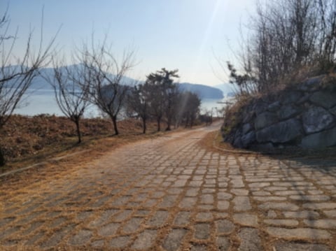 물건 사진 47
