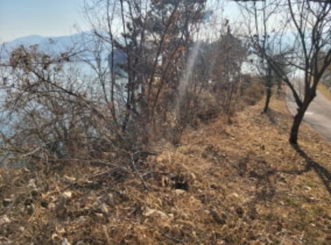 물건 사진 48