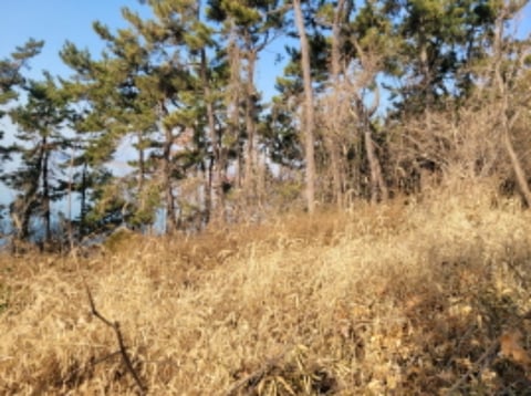 물건 사진 49