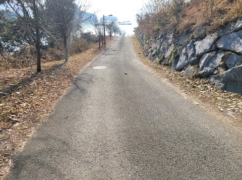 물건 사진 50