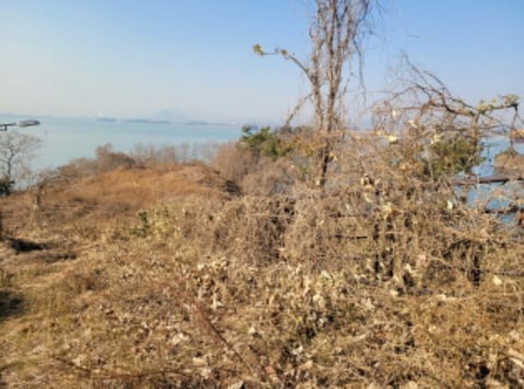 물건 사진 51