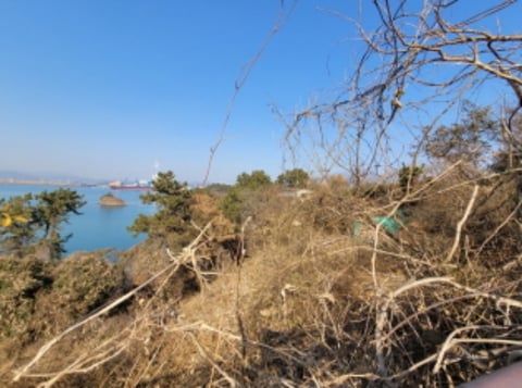 물건 사진 52