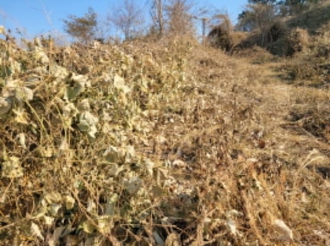 물건 사진 53