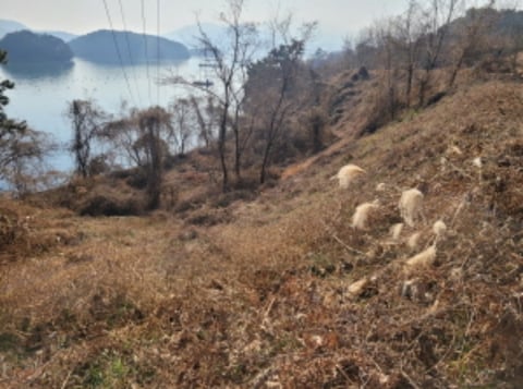 물건 사진 56