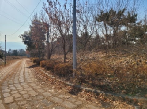 물건 사진 58