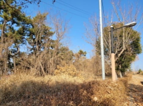 물건 사진 59