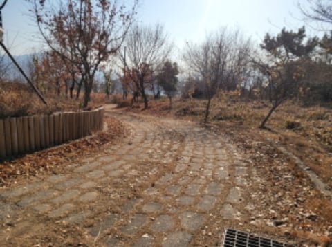 물건 사진 60