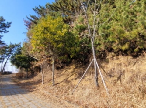 물건 사진 61
