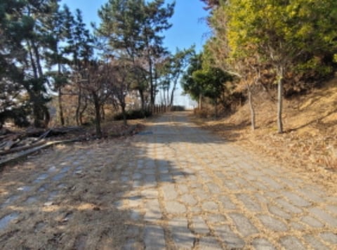 물건 사진 62
