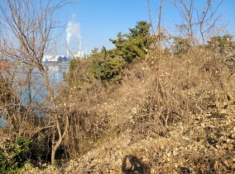 물건 사진 66