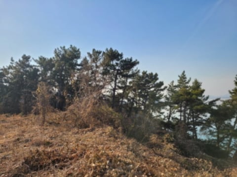 물건 사진 68