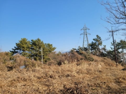 물건 사진 69