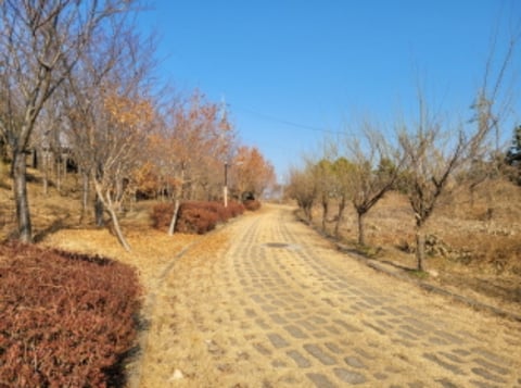 물건 사진 70