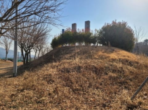 물건 사진 71