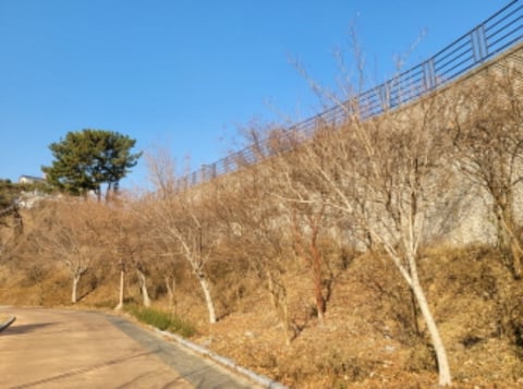 물건 사진 73