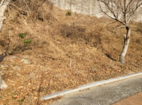 물건 사진 74