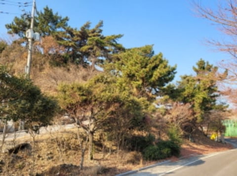 물건 사진 77