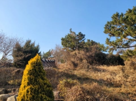 물건 사진 78