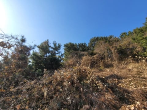 물건 사진 82