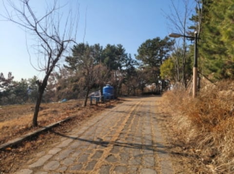 물건 사진 83