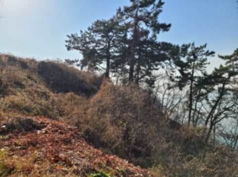 물건 사진 84