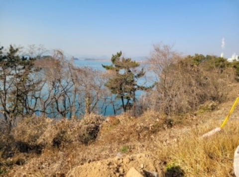 물건 사진 86