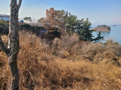 물건 사진 87