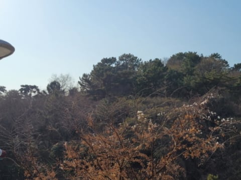 물건 사진 89