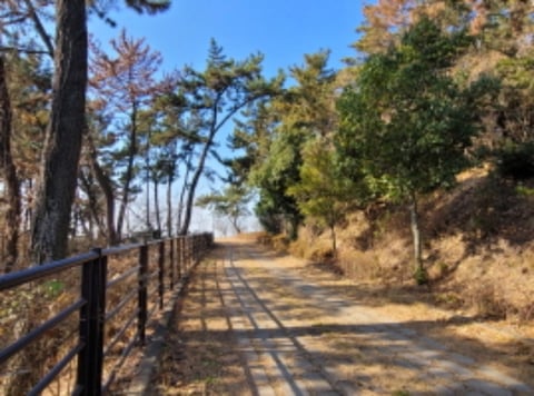 물건 사진 10