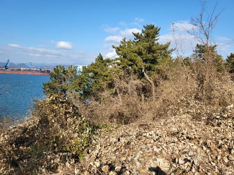 물건 사진 100
