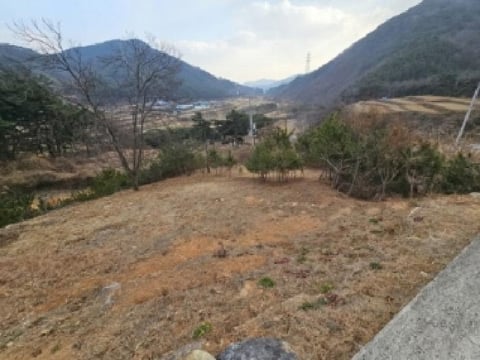 물건 사진 1