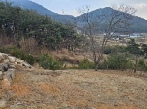물건 사진 2