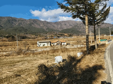 물건 사진 18