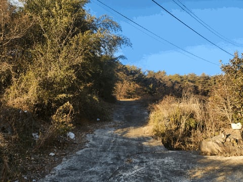 물건 사진 24