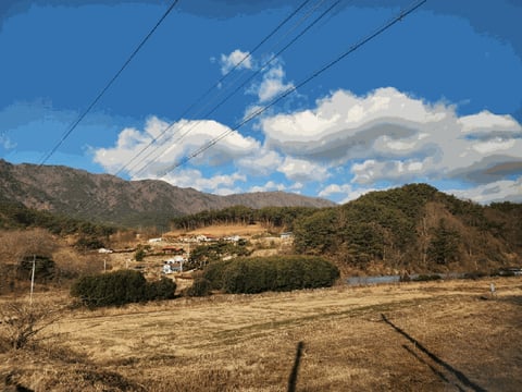 물건 사진 26