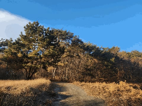 물건 사진 30