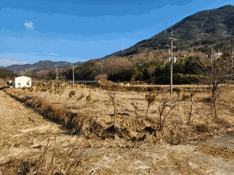 물건 사진 31