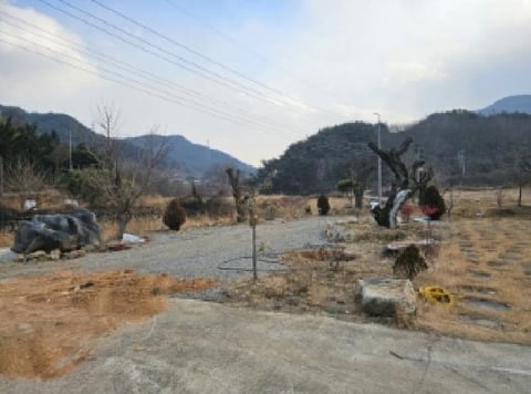 물건 사진 5