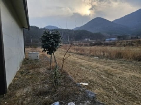 물건 사진 6