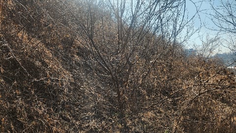 물건 사진 8