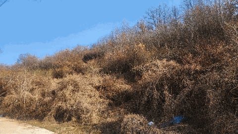 물건 사진 9