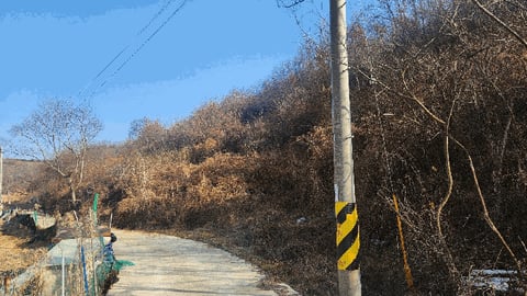 물건 사진 10